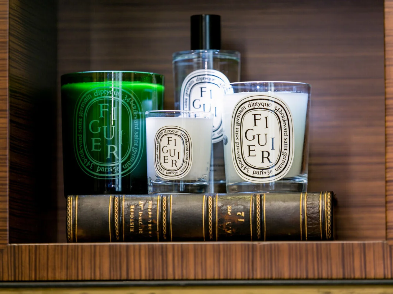 Diptyque Figuier Candle Review – A Luxurious Scent Experience