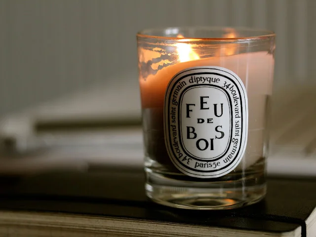 Diptyque Feu de Bois candle with a warm and smoky wood fire fragrance in an elegant glass jar