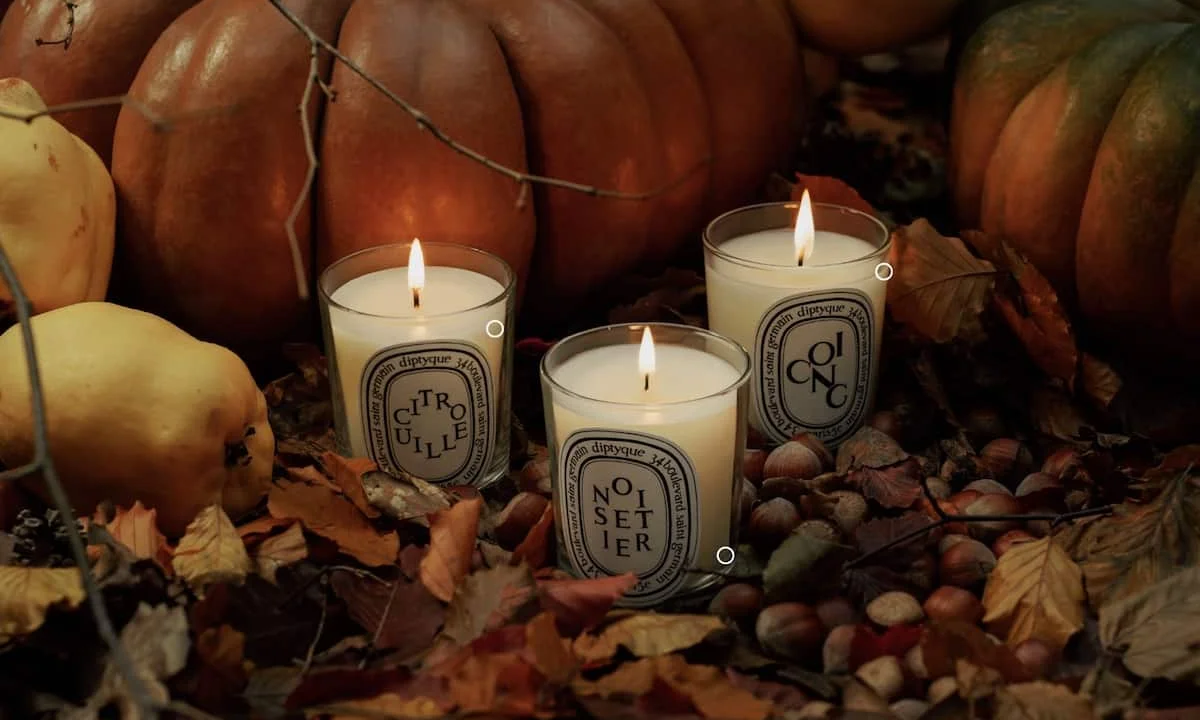 A variety of Diptyque candles and perfumes displayed with floral and woody accents, symbolizing different scent profiles.