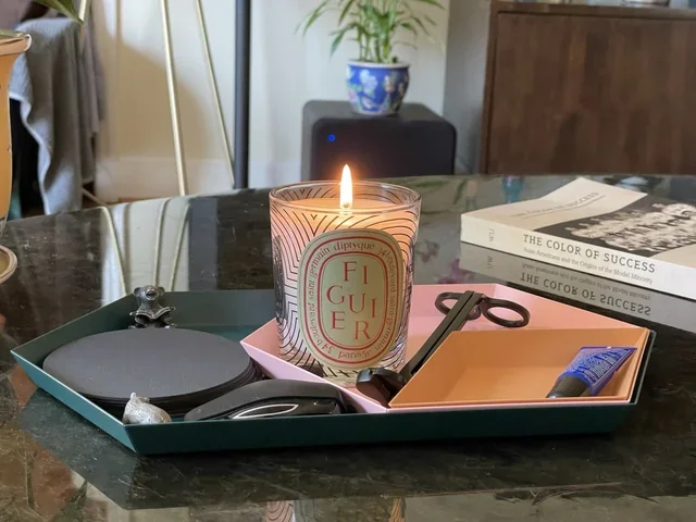 Diptyque Figuier candle displayed next to other luxury candles, highlighting its premium design and unique fig tree scent.